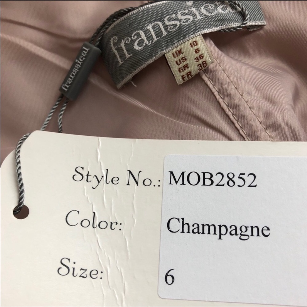 Franssical sequin applique chiffon champagne Gown - Picture 8 of 10